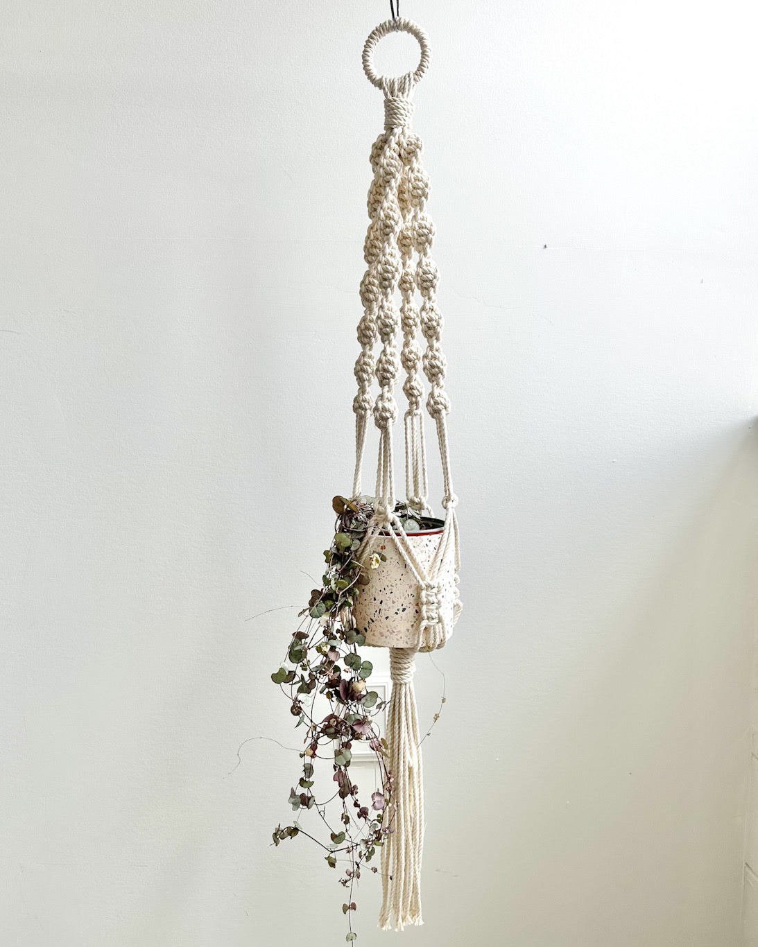 Macrame Workshop | Plant Hanger