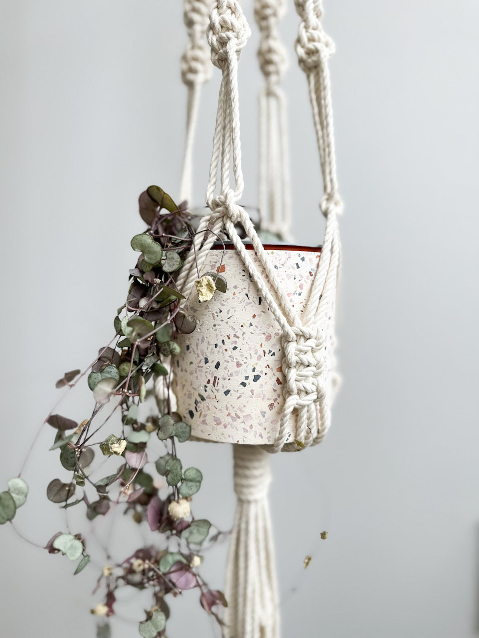 Macrame Workshop | Plant Hanger